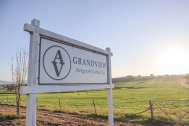 Grandview 13669 New England Highway Timbumburi NSW 2340 - Image 3