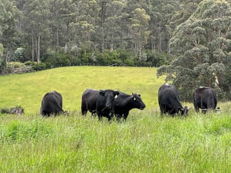 64 Mersey Forest Road Liena TAS 7304 - Image 2