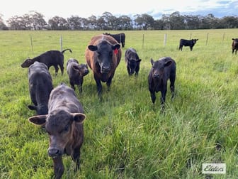 Click to view all images Monument Road Romsey VIC 3434 - Image 2