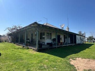 "Coolendoon" 810 The Pocket Road Bukkulla NSW 2360 - Image 3