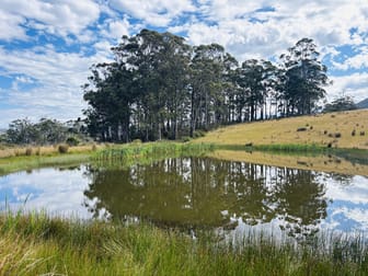 406 Kellevie Road Kellevie TAS 7176 - Image 2