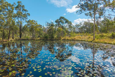 115 Carlyle Avenue Kundabung NSW 2441 - Image 2