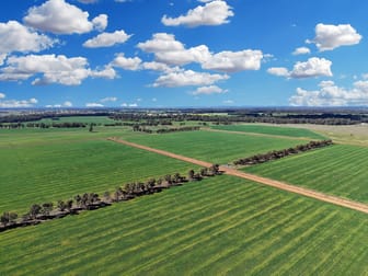 4005 Lachlan Valley Way Forbes NSW 2871 - Image 1