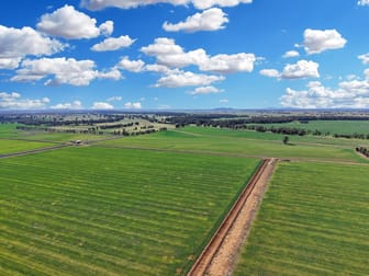 4005 Lachlan Valley Way Forbes NSW 2871 - Image 2