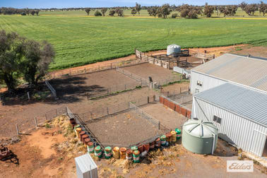 379 Days Road Mysia VIC 3518 - Image 3