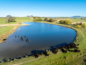 110 & 136 Beneree Road Tallwood NSW 2798 - Image 1