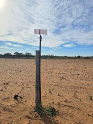 Lot 2 Cadell Valley Road Cadell SA 5321 - Image 2