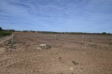 Lot 2 Cadell Valley Road Cadell SA 5321 - Image 3