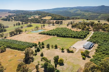 1 Willigobung Road Tumbarumba NSW 2653 - Image 1