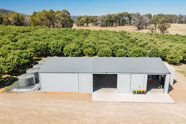 1 Willigobung Road Tumbarumba NSW 2653 - Image 2