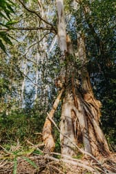 23 Uffington Road Duns Creek NSW 2321 - Image 2