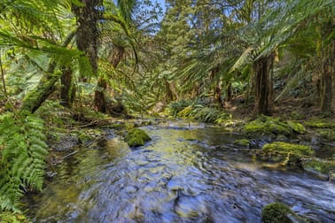 675 Skenes Creek Road Skenes Creek North VIC 3233 - Image 3
