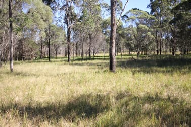 Lot 1 Shannondale Road Shannondale NSW 2460 - Image 1