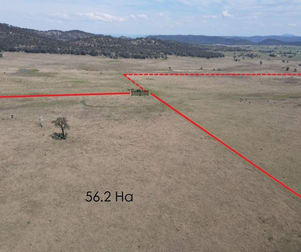 1022 Ridgelands Road Muswellbrook NSW 2333 - Image 3