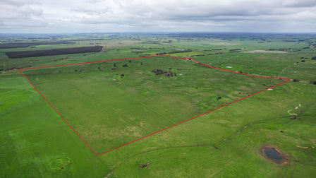 731 Framlingham-Garvoc Road Garvoc VIC 3265 - Image 1