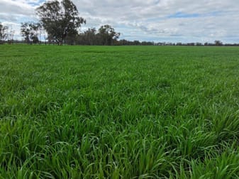-- Brenanah-Kurting Road Kurting VIC 3517 - Image 3