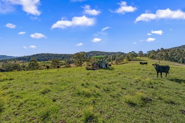 345 Glen Road Craven NSW 2422 - Image 3