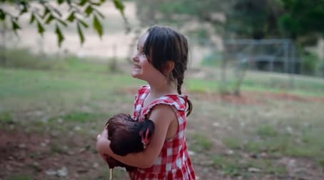 140 Long Road Pie Creek QLD 4570 - Image 1