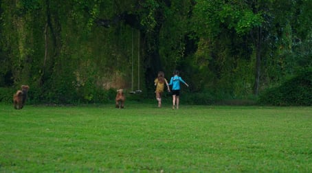 Click to view all images 140 Long Road Pie Creek QLD 4570 - Image 2