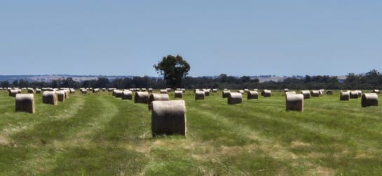 Click to view all images 4 Pin Pin Road Beermullah WA 6503 - Image 2