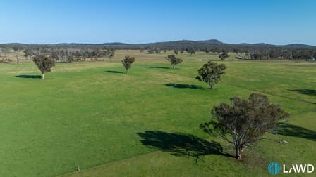 1109 Howell Road Stanborough NSW 2360 - Image 1