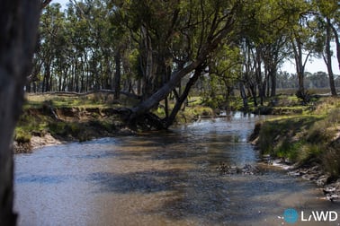 1109 Howell Road Stanborough NSW 2360 - Image 2