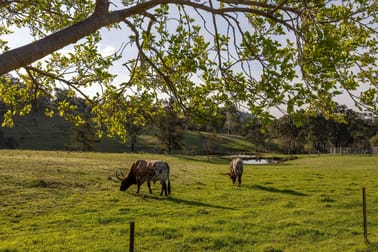 526 Windeyer Road Mudgee NSW 2850 - Image 3