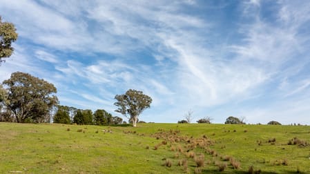 528 Gundowda Road Mudgee NSW 2850 - Image 2