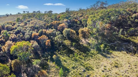 206 Roberts Road Mudgee NSW 2850 - Image 2