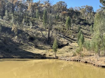 206 Roberts Road Mudgee NSW 2850 - Image 3