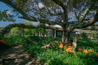 797 Allyn River Road East Gresford NSW 2311 - Image 2