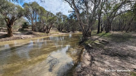 1196 Bennies Road Wanerie WA 6503 - Image 1