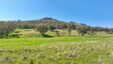 20 Duncan Street Woolomin NSW 2340 - Image 2