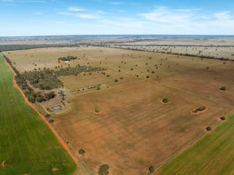 Osterley 900 Moira Vale Road Tottenham NSW 2873 - Image 1