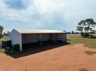 Osterley 900 Moira Vale Road Tottenham NSW 2873 - Image 2