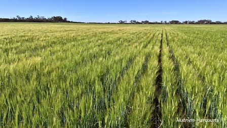 1650 Dulyalbin Road South Bodallin WA 6424 - Image 1