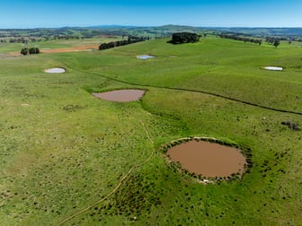 242 Bundaleer Road Newbridge NSW 2795 - Image 1
