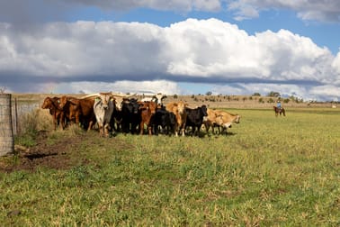643 Silvermines Road Elsmore NSW 2360 - Image 1