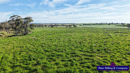 'Glenelg' 146 Suntop Road Wellington NSW 2820 - Image 1
