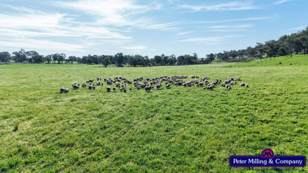 'Glenelg' 146 Suntop Road Wellington NSW 2820 - Image 2