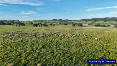 'Glenelg' 146 Suntop Road Wellington NSW 2820 - Image 3
