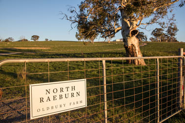 310 Breadalbane Road Goulburn NSW 2580 - Image 3