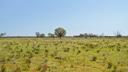 Coonamble NSW 2829 - Image 2