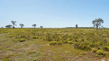 Coonamble NSW 2829 - Image 3