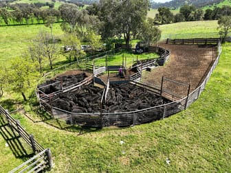 650 Donalds Creek Road Scone NSW 2337 - Image 2