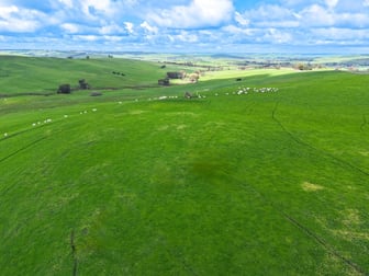 374 Balochile Road Coleraine VIC 3315 - Image 2