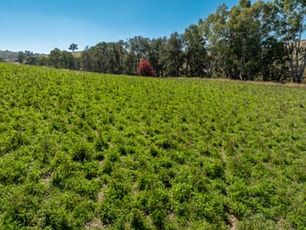 'Angle Burn' 101 Clearview Road Darbys Falls NSW 2793 - Image 2