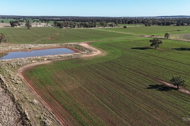 195 Curra Lane Peak Hill NSW 2869 - Image 2