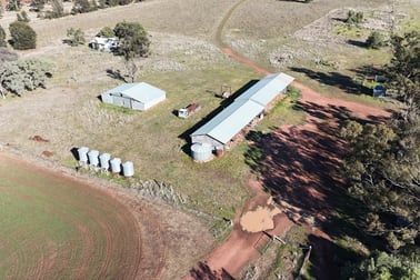 195 Curra Lane Peak Hill NSW 2869 - Image 3
