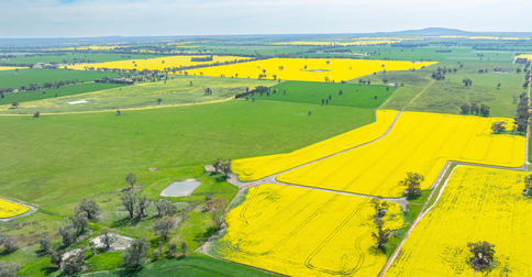 596 Gum Swamp Road Balldale NSW 2646 - Image 1
